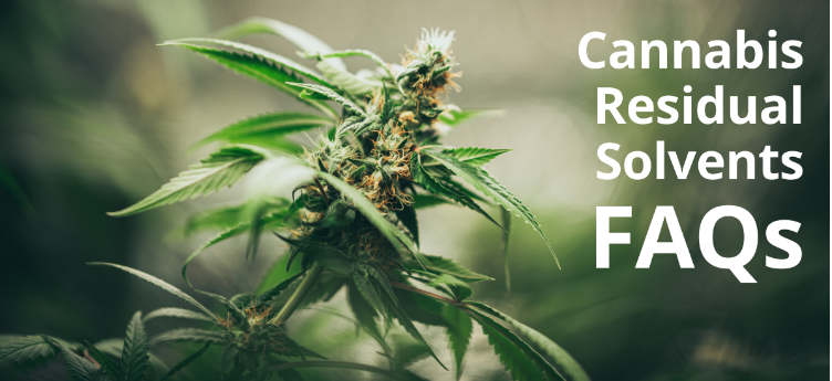 大 麻残留溶剂常见问题解答